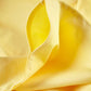 Classic Percale Duvet Cover - Yellow